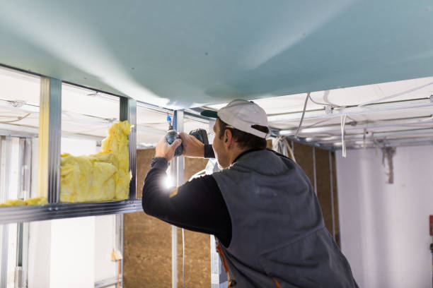 Best Insulation for Specific Applications in El Rio, CA